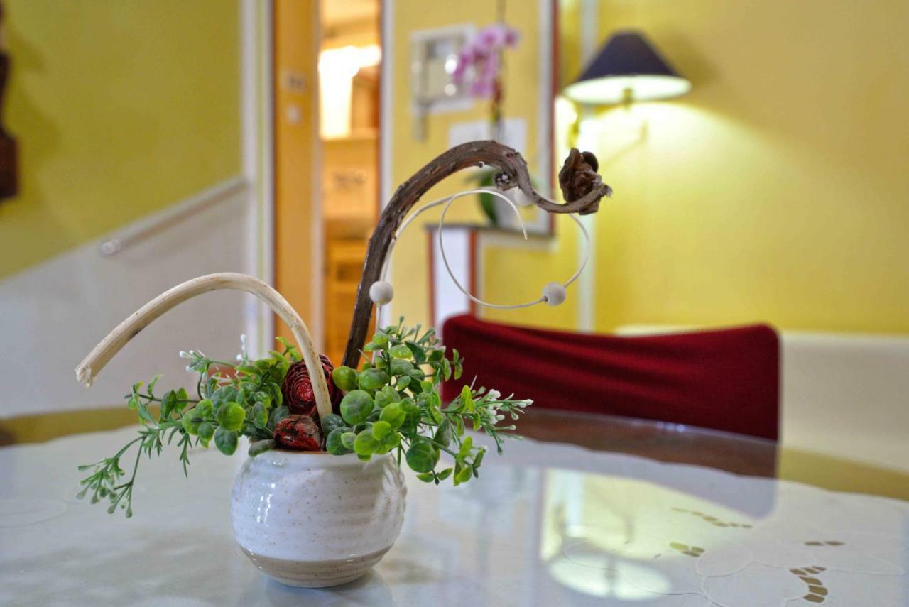 מורטר Apartment Zena מראה חיצוני תמונה