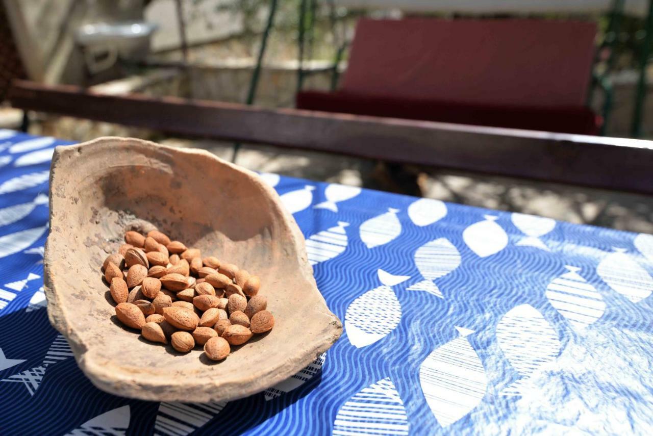 מורטר Apartment Zena מראה חיצוני תמונה
